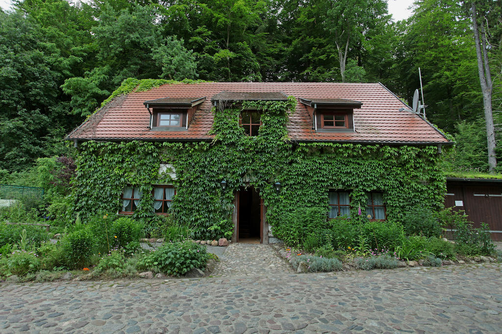 Hotel Boltenmuehle Guhlen Glienicke 部屋 写真